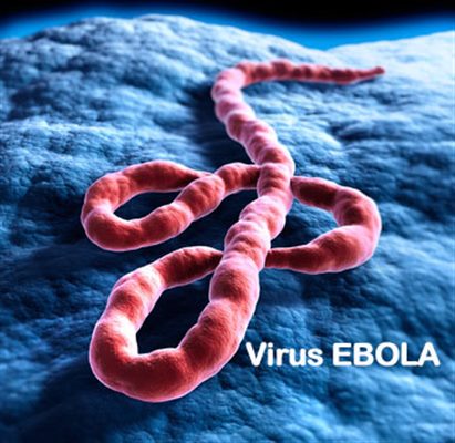Chronologie des principales contaminations du virus Ebola