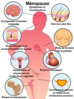 Prise de Lutényl et trouble des règles : questions réponses santé ...