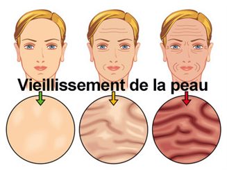 vieillesemnt de la peau