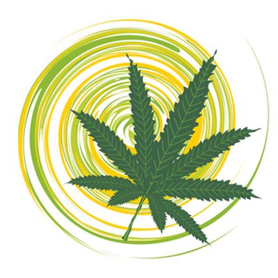 Cannabis : des réponses à vos questions